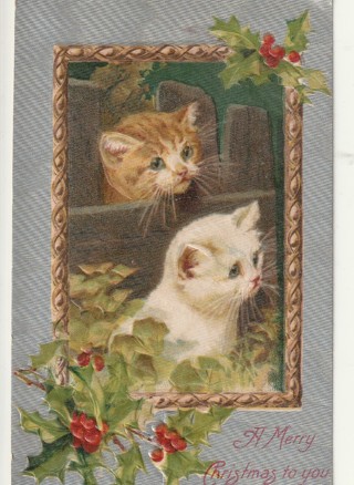 Vintage Unused Postcard: Pre Linen: (f): Merry Christmas