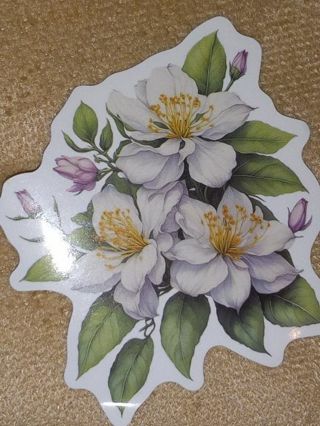 Beautiful 1⃣ vinyl lap top sticker no refunds regular mail very nice quality win 2 or more get bonus