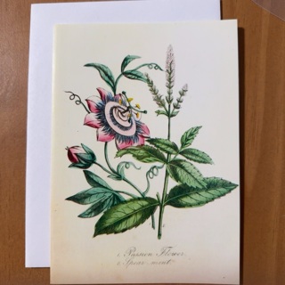 PassionFlower Note Card 