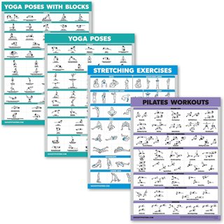 Set of Four Fitness Charts
