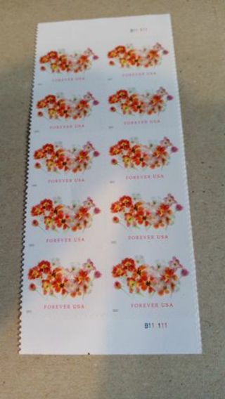 10- FOREVER US POSTAGE STAMPS.... SUMMER FLOWERS