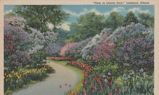 Vintage Used Postcard: b: View in Lilacia Park, Lombard, IL