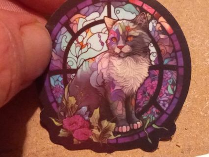 Cat nice one vinyl sticker no refunds regular mail only Very nice quality!