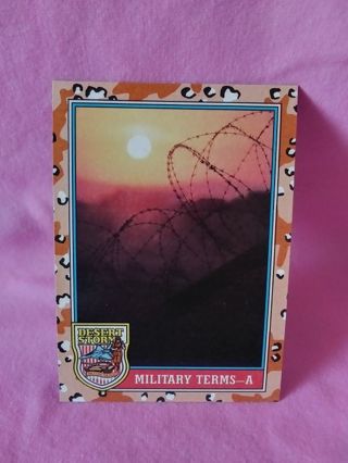 Desert Strom Trading Card # 143