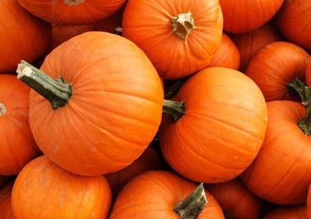 Pie Pumpkin Seeds