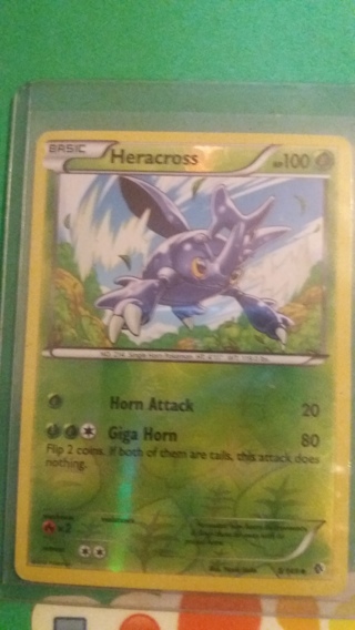 foil heracross card free shipping