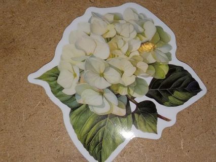 Beautiful nice one big new vinyl laptop sticker no refunds regular mail win 2 or more get bonus