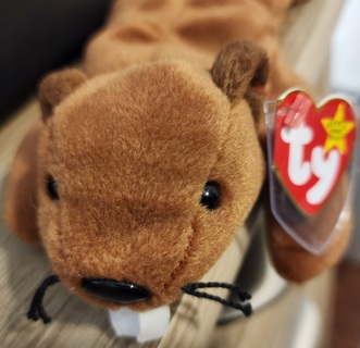 NEW - TY Beanie Baby - "Bucky"