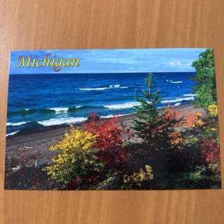 Michigan Fall Shoreline Post Card 