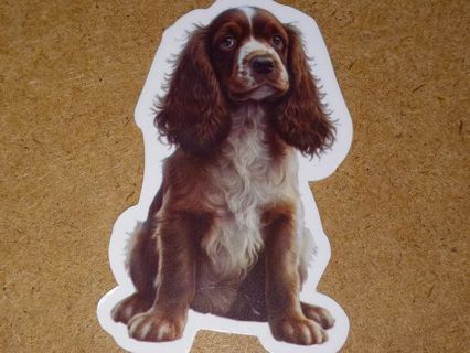 Dog Cute nice vinyl sticker no refunds regular mail Win 2 or more get bonus