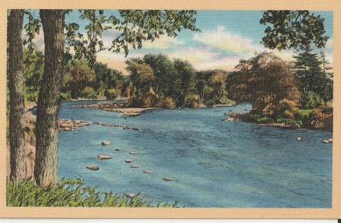 Vintage Unused Postcard: h: Stream in, NC