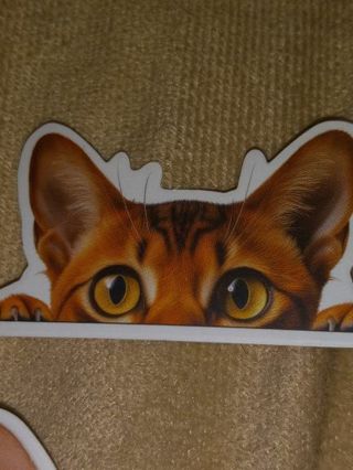 Cat 1⃣ nice small vinyl sticker no refunds regular mail win 2 or more get bonus