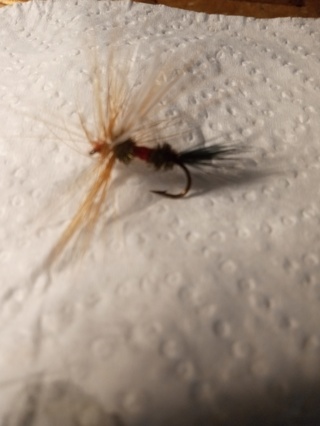 Fishing Fly