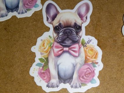 Dog Cute nice 1⃣ vinyl sticker no refunds regular mail only Very nice quality!