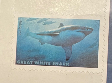 Great White Shark Forever US Postage Stamp Mint