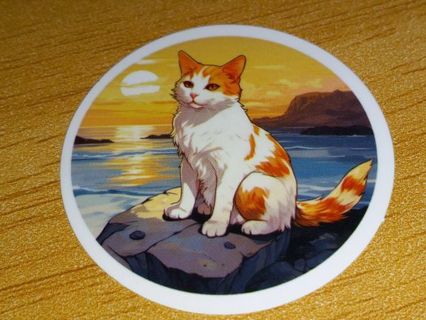 Cat Cute one nice vinyl sticker no refunds I send all regular mail only nice quality