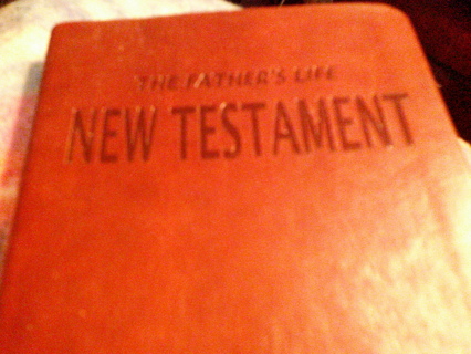 the fathers life  new testament