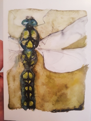 Gorgeous Dragonfly Art Card w/Envelope
