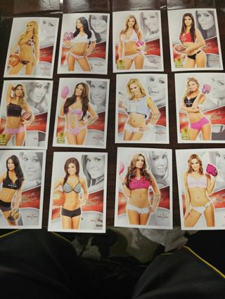 2013 Benchwarmer 24 card lot(group B)