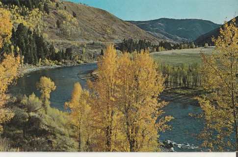 Vintage Unused Postcard: w: Snake River, WY