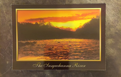 Susquehanna River Postcard 