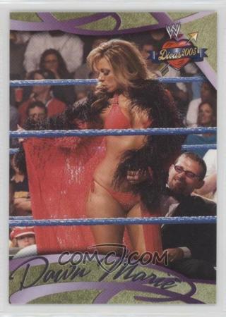 DAWN MARIE 2005 WWF WWE DIVINE DIVAS LINGERIE WRESTLING TRADING CARD