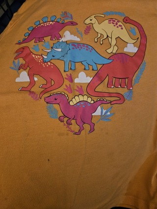 Girl’s Dinosaur shirt