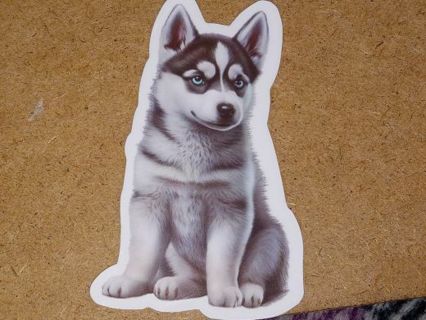 Dog Cute new one nice vinyl laptop sticker no refunds regular mail very nice quality