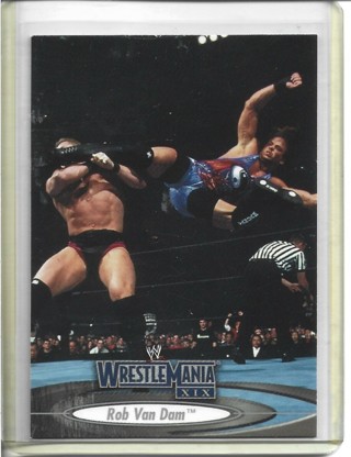 2003 Fleer WWF/WWE Rob Van Dam Card #60