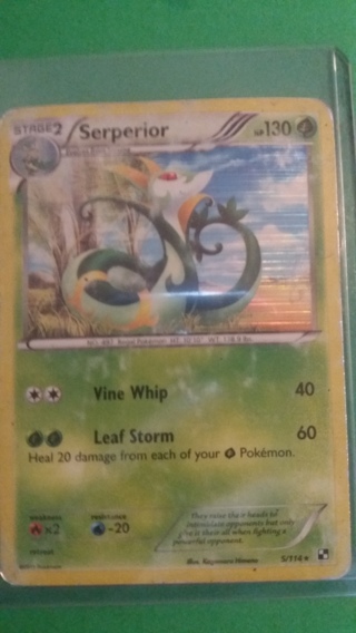 foil serperior card free shipping