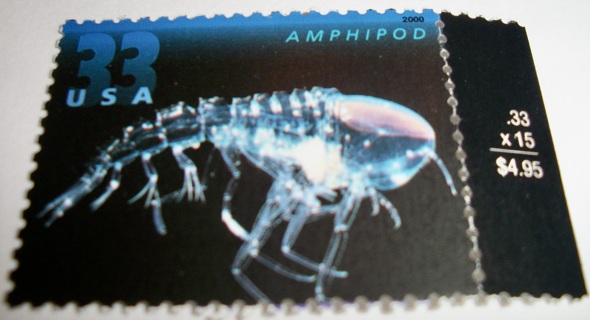 Scott #3442, Amphipod, One Useable 33¢ US Postage Stamp.  Has Original Gum.