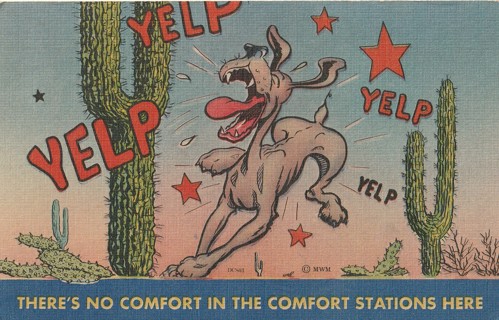 Vintage Unused Postcard: b: Comic, Linen: No Comfort at the Comfort Station