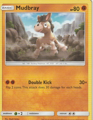 Pokemon Card: Mudbray