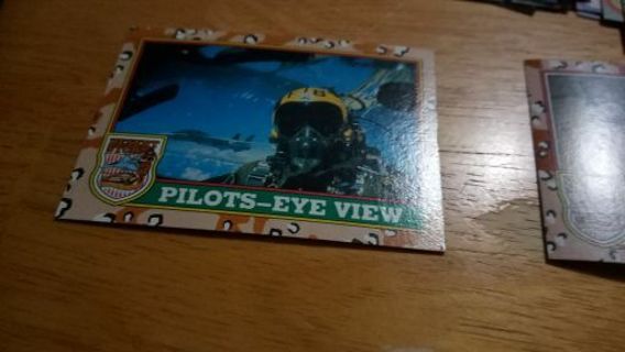 Pilots-Eye View (Brown)