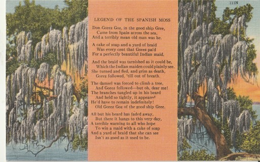 Vintage Unused Postcard: k: Legend of the Spanish Moss