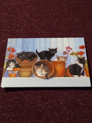 Notecard - Planter Kittens