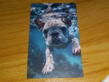 Dog Cool 1⃣ new one vinyl sticker no refunds regular mail win 2 or more get bonus