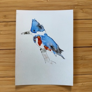 Photograph of Original Watercolor - Belted Kingfisher