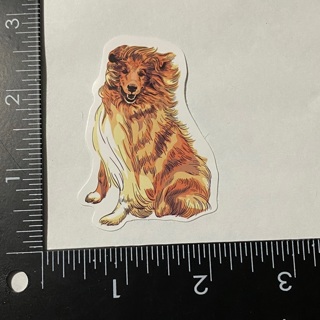 Real looking lassie dog large sticker decal NEW 