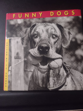 Funny Dogs