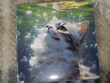 Cat beautiful one new vinyl sticker no refunds regular mail only Very nice these are all adorable