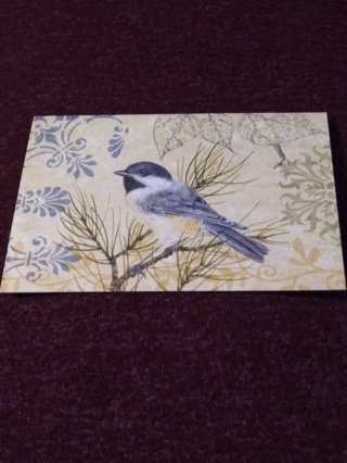 Bird Notecard & Envelope 