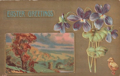 Vintage Unused Postcard: f: Comic: Easter Greetings