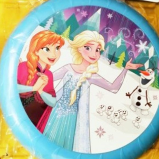 1 NEW DISNEY'S FROZEN MOVIE FLYING FRISBEE GAME 9" SPORTS DISC FREE SHIPPING