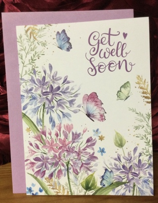 Get Well Soon Flowers and Butterfly Card