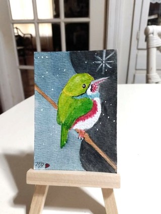 ACEO Original, Watercolor Painting 2-1/2"X 3/1/2" Cubantot Bird by Artist Marykay Bond