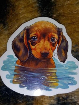 Adorable nice 1⃣ small vinyl sticker no refunds I send all regular mail nice quality