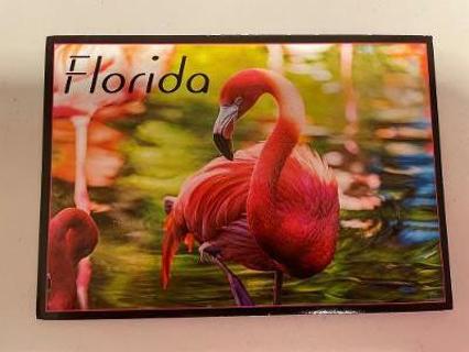 Flordia Pink Flamigo Postcard