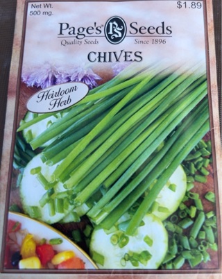 Chive Seeds