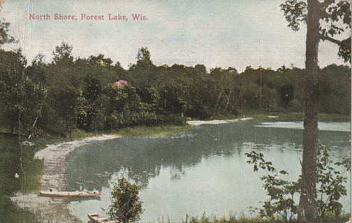 Vintage Used Postcard:y; 1911 North Shore, Forest Lake, WI